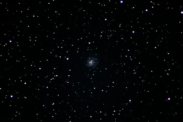 M101